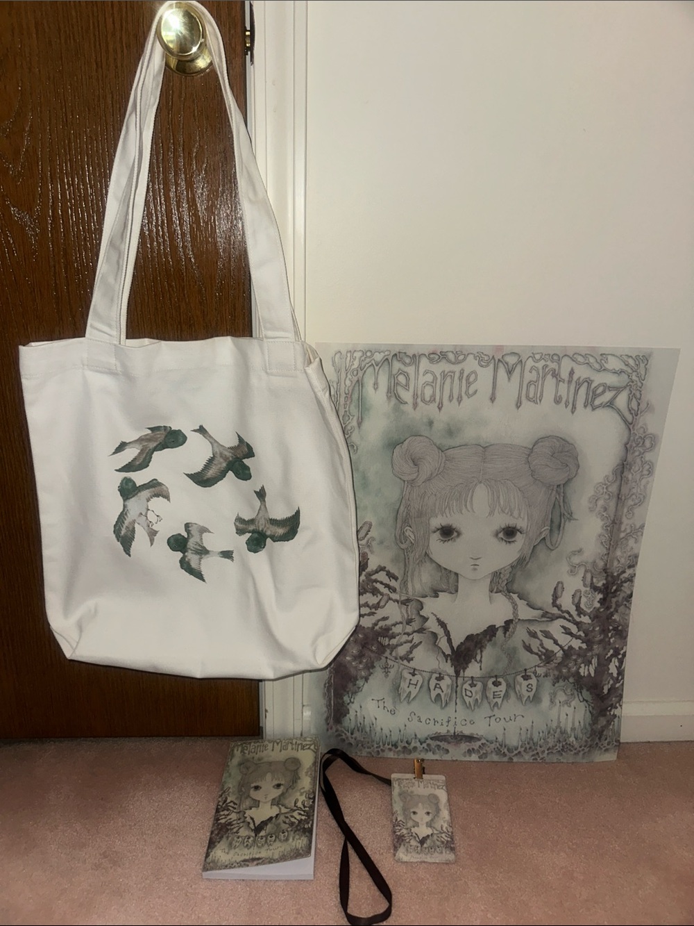 Melanie Martinez Hades The Sacrifice Tour Exclusive VIP Merch Bundle RARE Boston